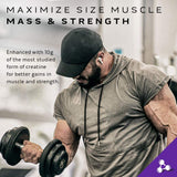 Mass tech elite 2.720kg USA