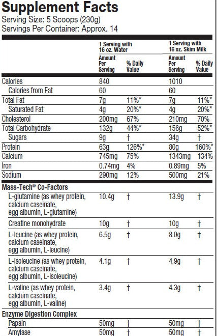 Mass tech elite 2.720kg USA